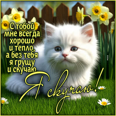 Postcard открытка с тобой мне всегда хорошо и тепло, скучаю