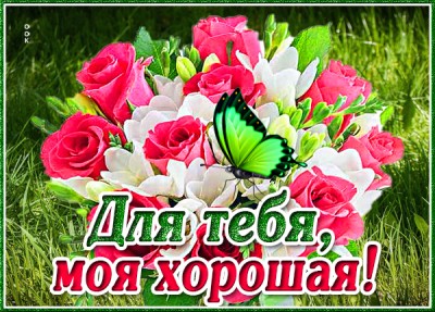 Картинка открытка с цветами для вдохновения