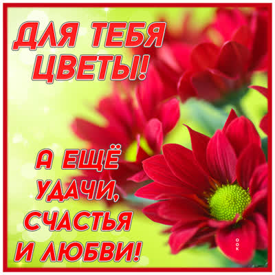 Picture открытка с яркими цветами