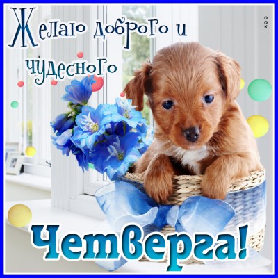 Картинка открытка счастливого четверга