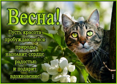 Открытка открытка счастливой весны