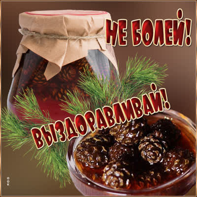 Postcard открытка сиди дома и лечись