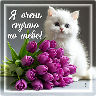 Postcard открытка скучаю, каждый день без тебя — как тень