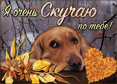 Postcard открытка скучаю очень-очень