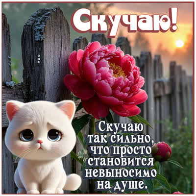 Picture открытка скучаю сильно по тебе