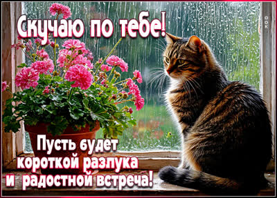 Picture открытка скучаю сильно по тебе