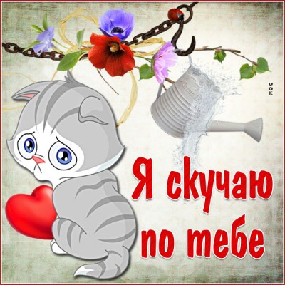 Картинка открытка скучаю с котенком