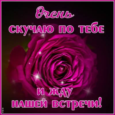 Открытка открытка скучаю с розой