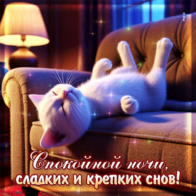 Postcard открытка сладких и крепких снов