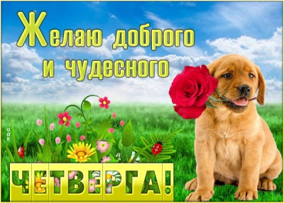 Открытка открытка солнечного четверга