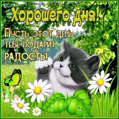Картинка открытка солнечного дня