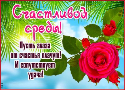 Открытка открытка солнечной среды