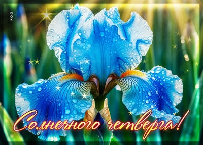 Picture открытка солнечного четверга