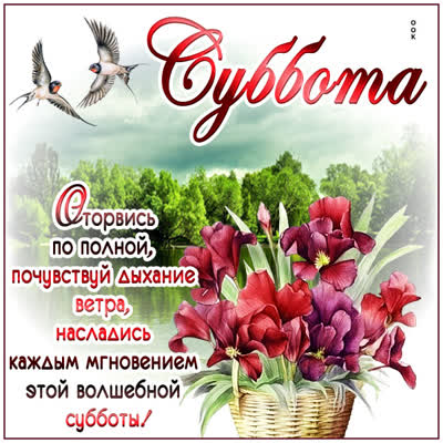 Picture открытка суббота, с пожеланиями ярких моментов и радости