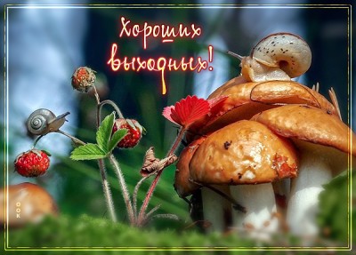 Открытка открытка теплых выходных