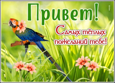 Картинка открытка теплый привет