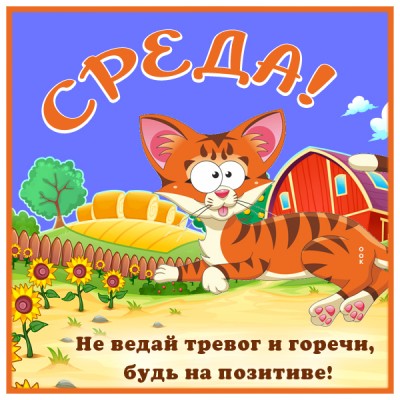 Картинка открытка удачной среды и яркого дня