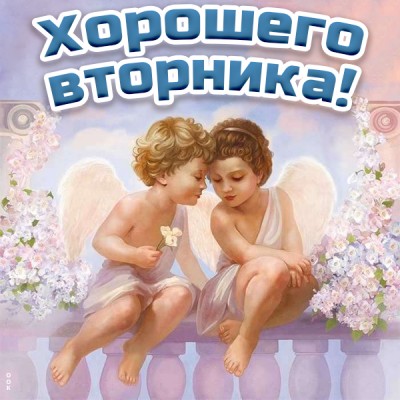 Открытка открытка удивительного вторника