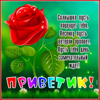 Картинка открытка утренний привет