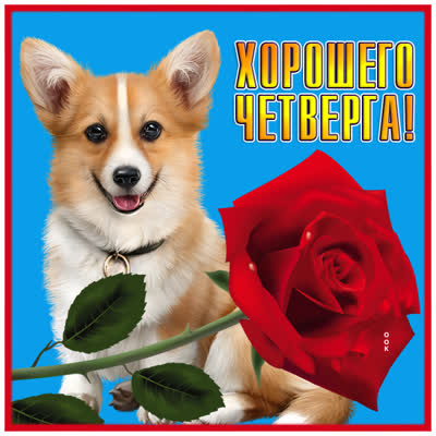 Picture открытка веселого четверга