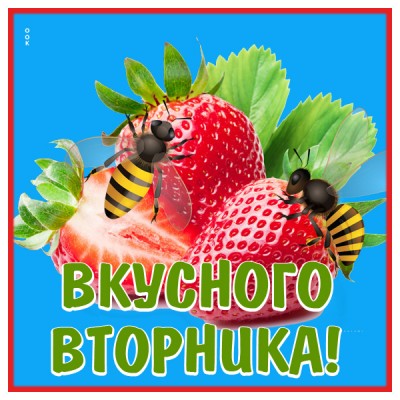 Открытка открытка вкусного вторника