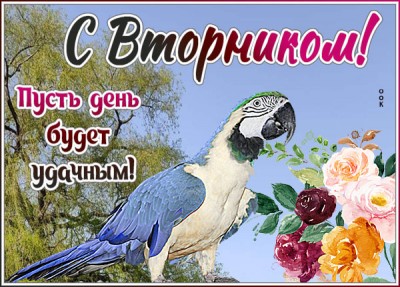 Открытка открытка волшебного вторника