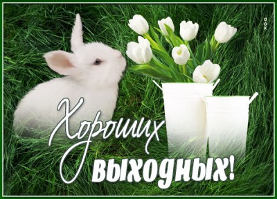 Открытка открытка волшебных выходных