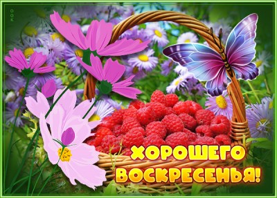 Картинка открытка воскресенье с цветами