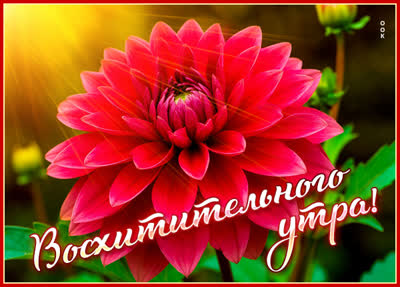 Picture открытка восхитительного утра