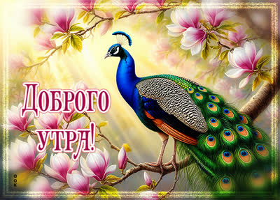 Postcard открытка вот и наступило чудное утро