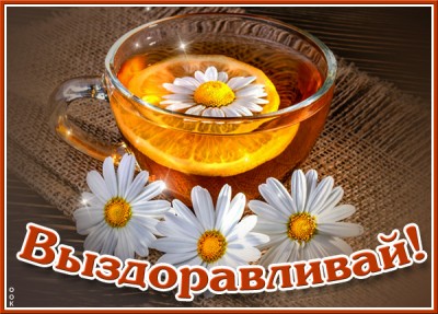 Картинка открытка выздоравливай с ромашками