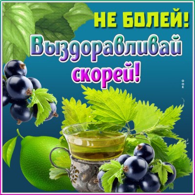 Картинка открытка выздоравливай скорей