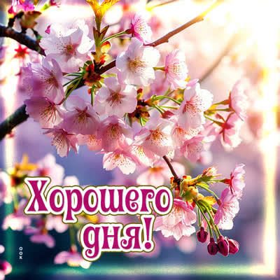 Postcard открытка хорошего дня и позитивных эмоций