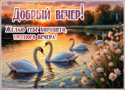 Postcard открытка хорошего, уютного вечера