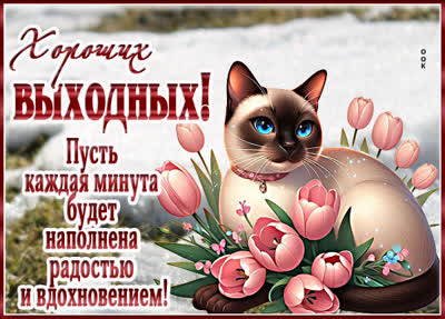 Postcard открытка хороших выходных с настроением радости