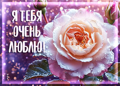 Picture открытка я тебя люблю, и это самое важное в моей жизни