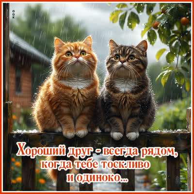 Postcard открытка я всегда рядом с тобой, мой друг