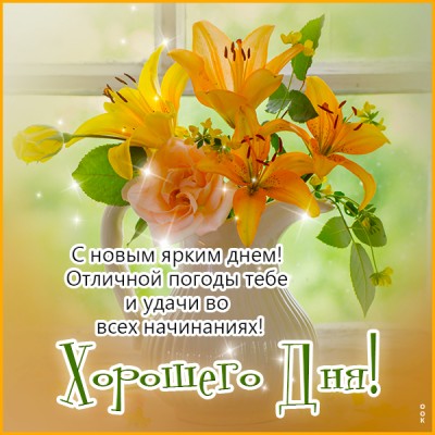 Открытка открытка ярких деньков