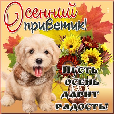 Открытка открытка яркой осени