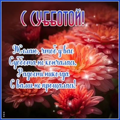Открытка открытка яркой субботы