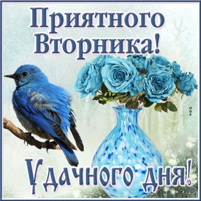 Открытка открытка замечательного вторника