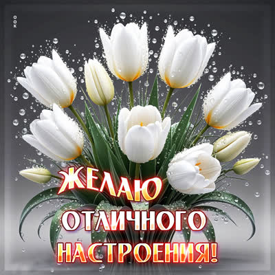 Postcard открытка желаю отличного настроения