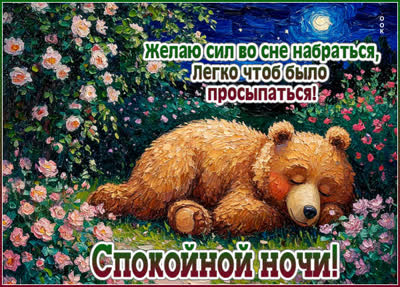 Postcard открытка желаю сил во сне набраться