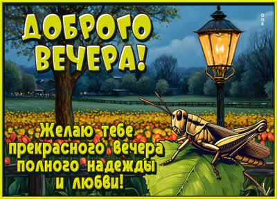 Postcard открытка желаю тебе прекрасного вечера