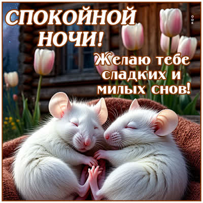 Postcard открытка желаю тебе сладких и милых снов