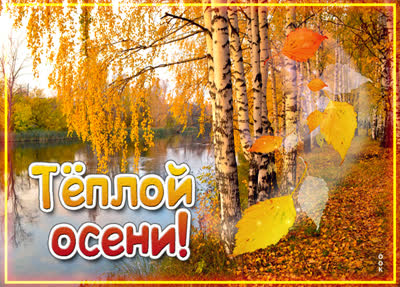 Postcard открытка желаю тёплой осени