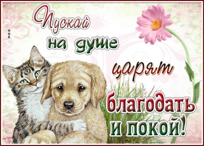 Открытка открытка желаю много счастья