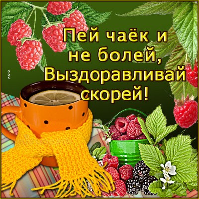 Открытка отличная картинка выздоравливай