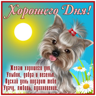 Открытка отличная открытка приятного дня