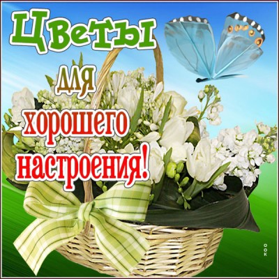 Открытка отличная открытка с цветами